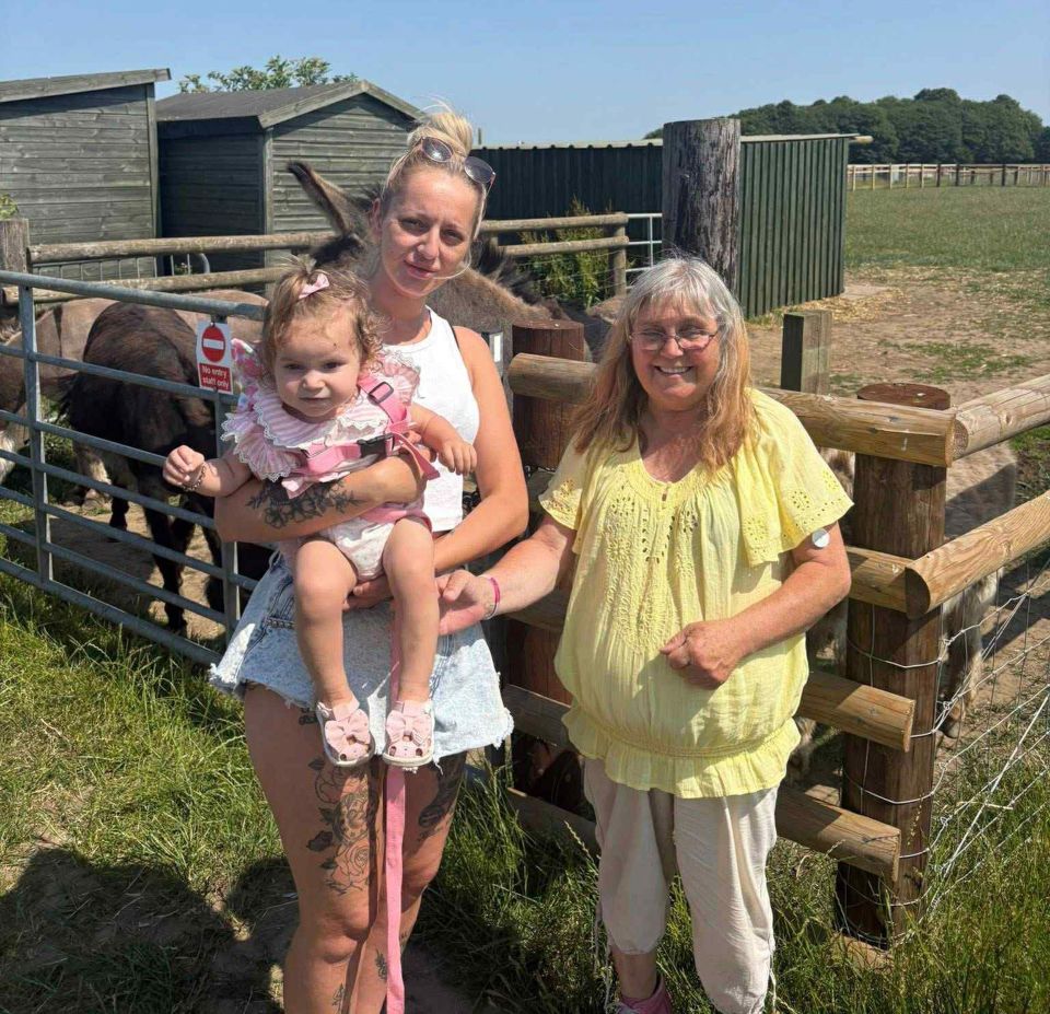 A woman and a young child stand with an older woman near a donkey enclosure.