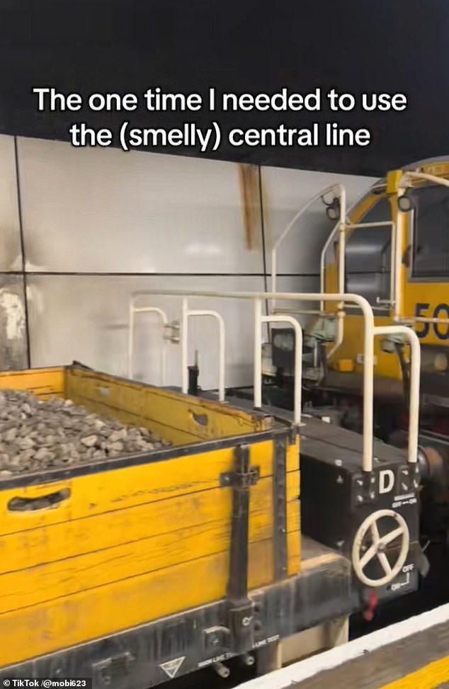 Another commuter also filmed the train, writing: 'The one time I needed to use the (smelly) Central Line'