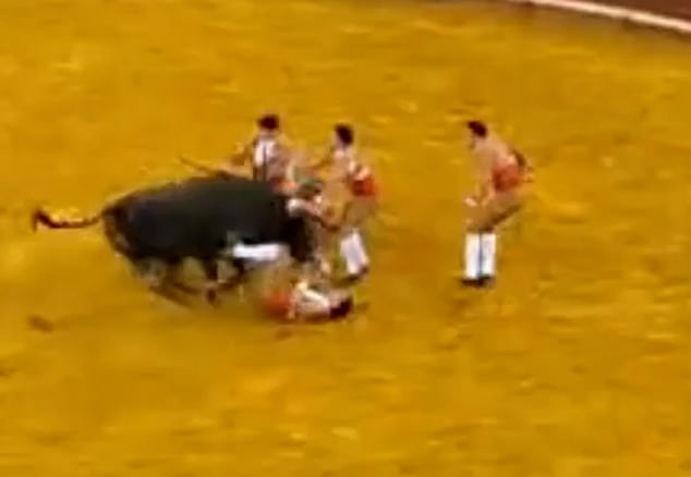 In a matter of seconds Trindade was hoisted up into the air by the storming bull and thrown against the wall of the arena