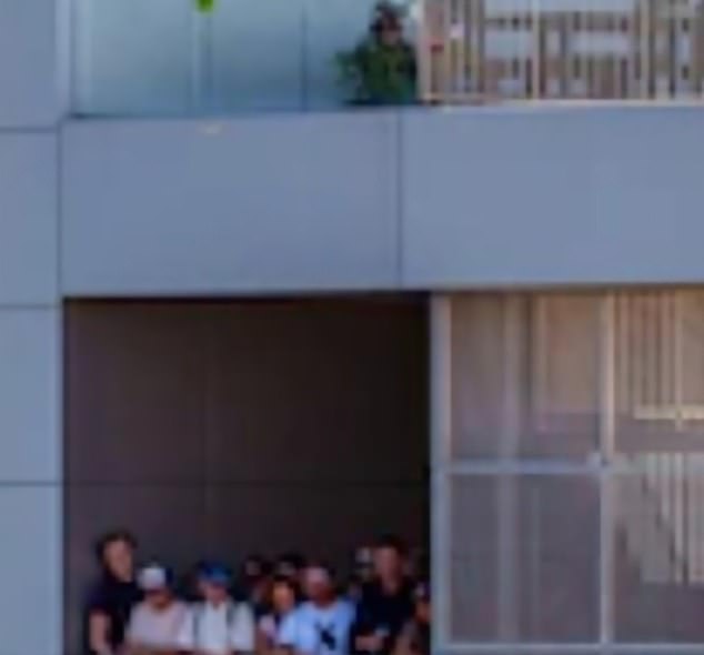 The poster zoomed in on what they claimed could be a person camouflaged as a plant at the top floor of the building