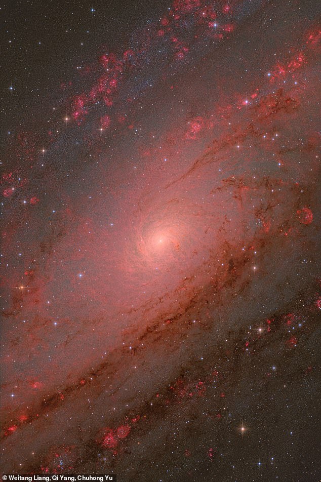 Weitang Liang, Qi Yang and Chuhong Yu, from China, won the Galaxies category with this image ad are the overall winners of the entire competition