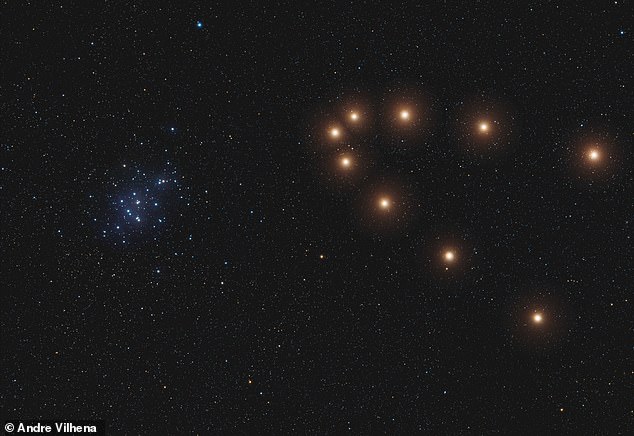 Andre Vilhena's image, from Portugal, came highly commended in the Plants Comets and Asteroids category. This image shows Mars, when it became retrograde