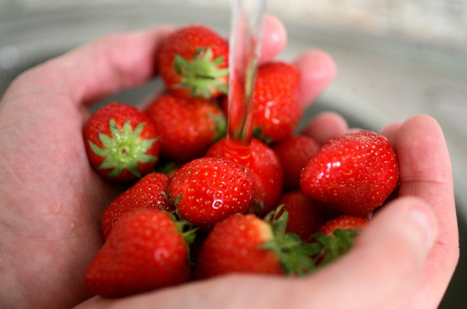 Hands washing a pile of strawberries under running water.