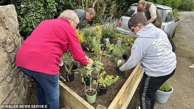 Less than 24 hours earlier members of the Gwaesnygor community had come together to plant the first of six planned beds