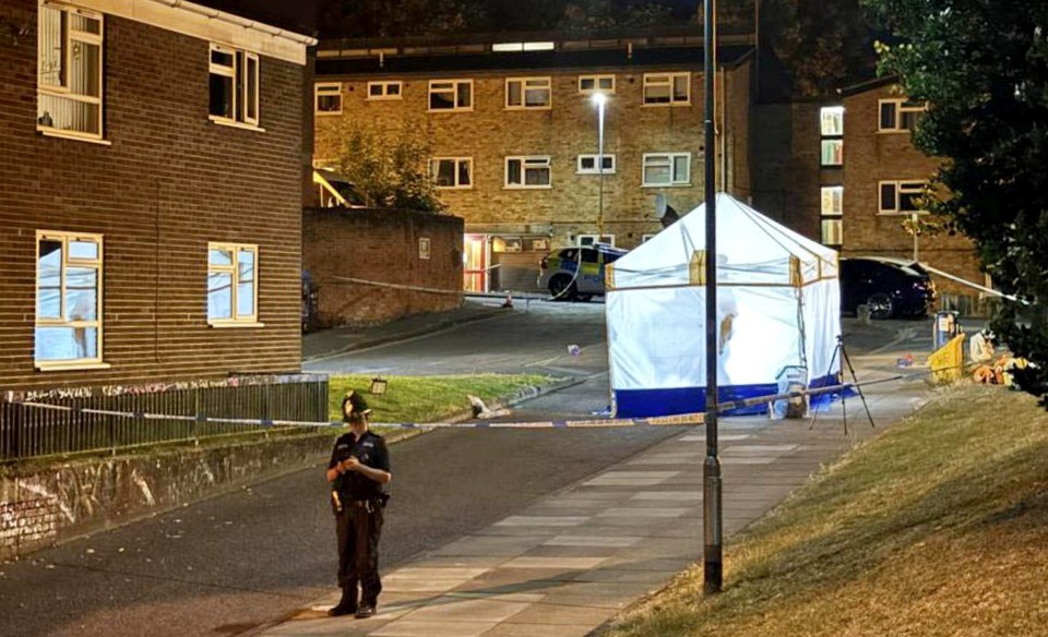 Crime scene at night with police officer and forensic tent.