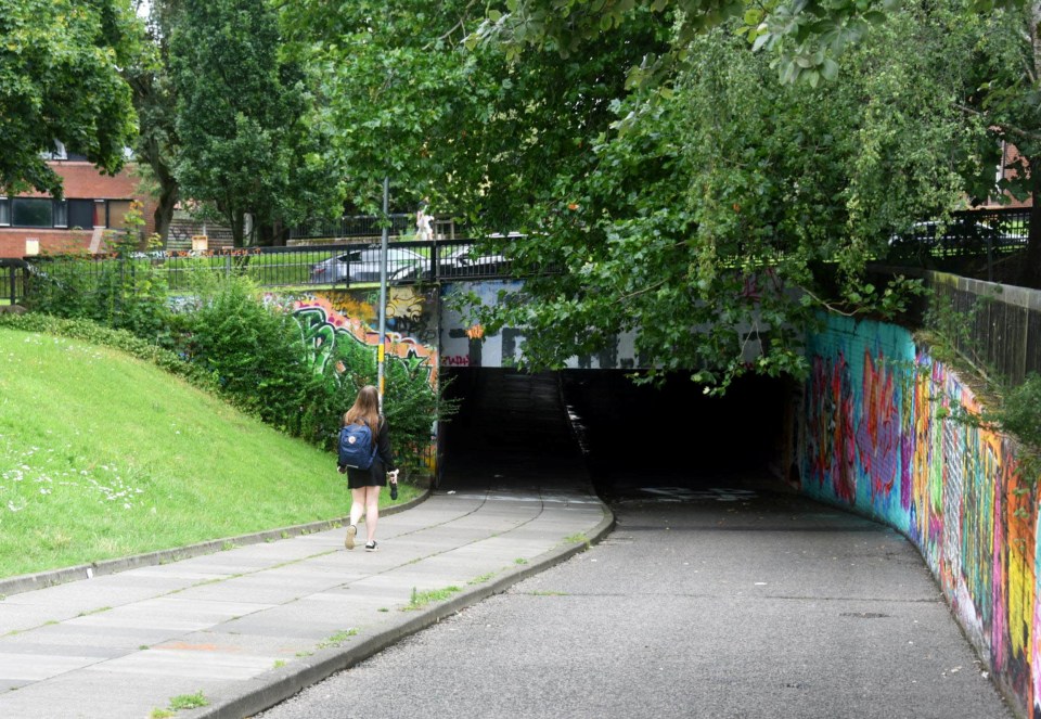 Person walking toward a graffiti-covered underpass.