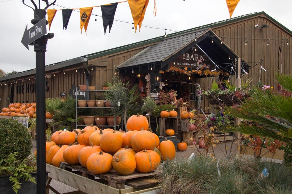 Pumpkins for sale outside a farm shop.