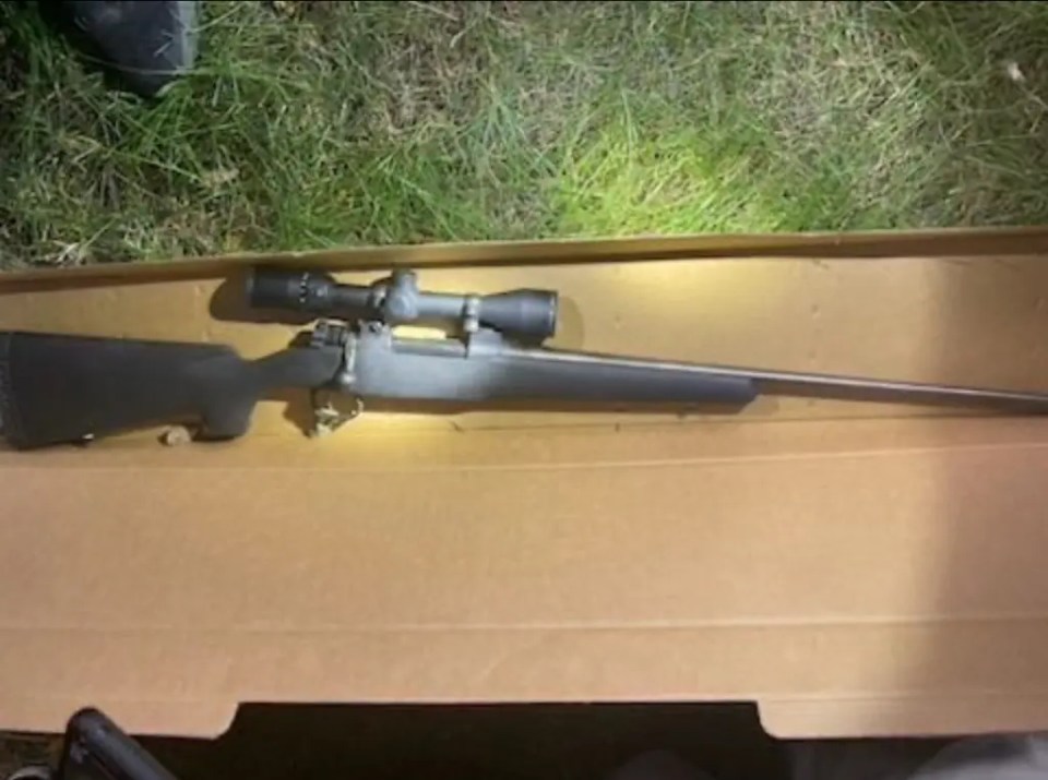 Rifle in a cardboard box.