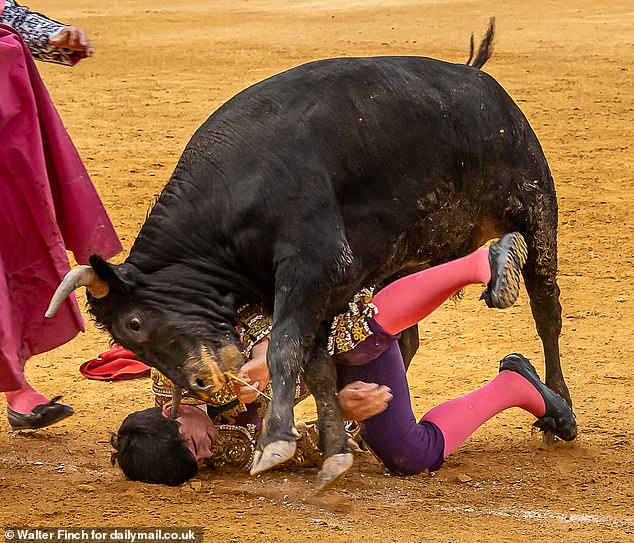 The risk of getting into the ring with these dangerous animals is of course great