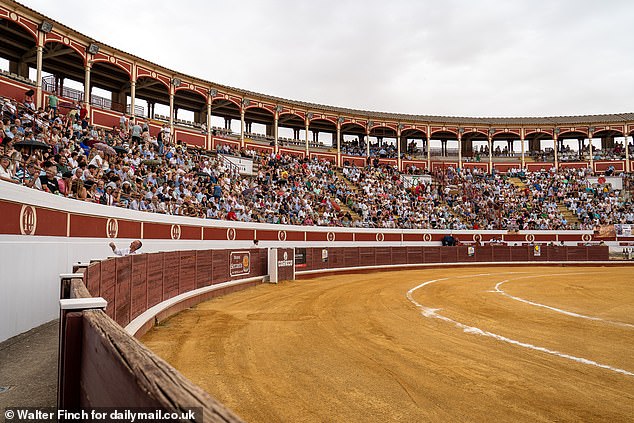 Despite its international reputation as a callous bloodsport, bullfighting continues to thrive in Spain