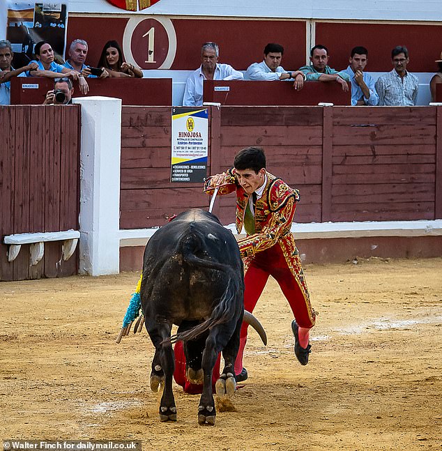 Among the right-wing youth, it is becoming increasingly popular to associate oneself with symbols of traditional Spain