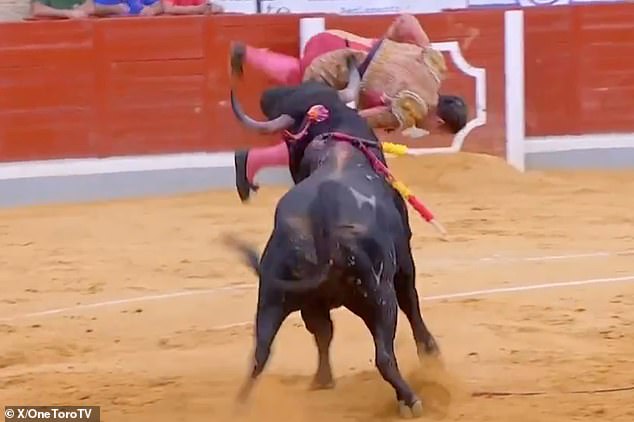 D'Alva was thrown up into the air and gored through the back, requiring surgery