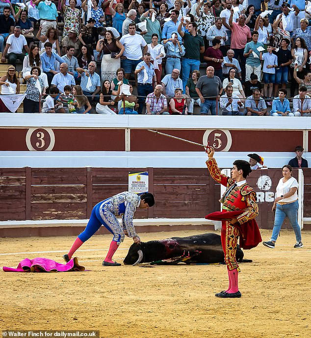 Due to the inexperience of the fighters, it often means a slower and more painful death for the animals