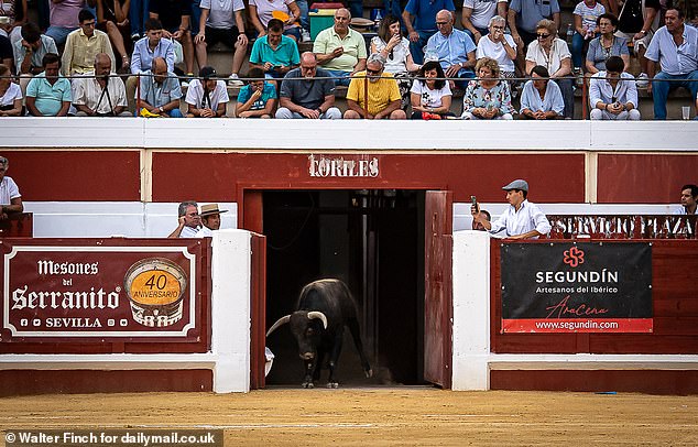 Backlash against the blood sport has been around for some years, but there seems to be a lack of will to get rid of the tradition