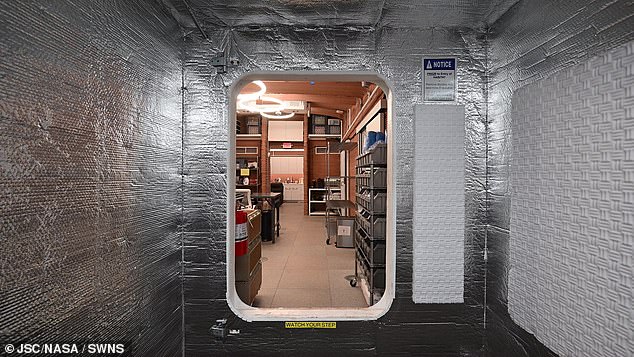 The main crew of four - Ross Elder, Ellen Ellis, Matthew Montgomery and James Spicer - are set to enter the experiment (pictured) on October 19