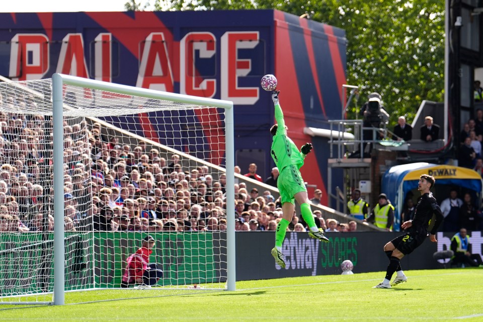 Dean Henderson of Crystal Palace making a save during a soccer match.