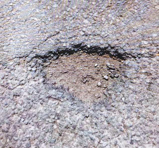 Ms Gibbons endured months of pain after breaking her ankle in a pothole - a danger the council denied liability over