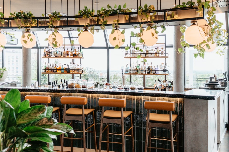 Bar Botanik in Cologne with a bar, stools, and plants.