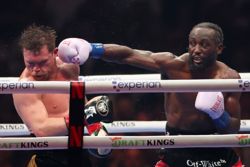 Terence Crawford punches Canelo Alvarez in a boxing match.