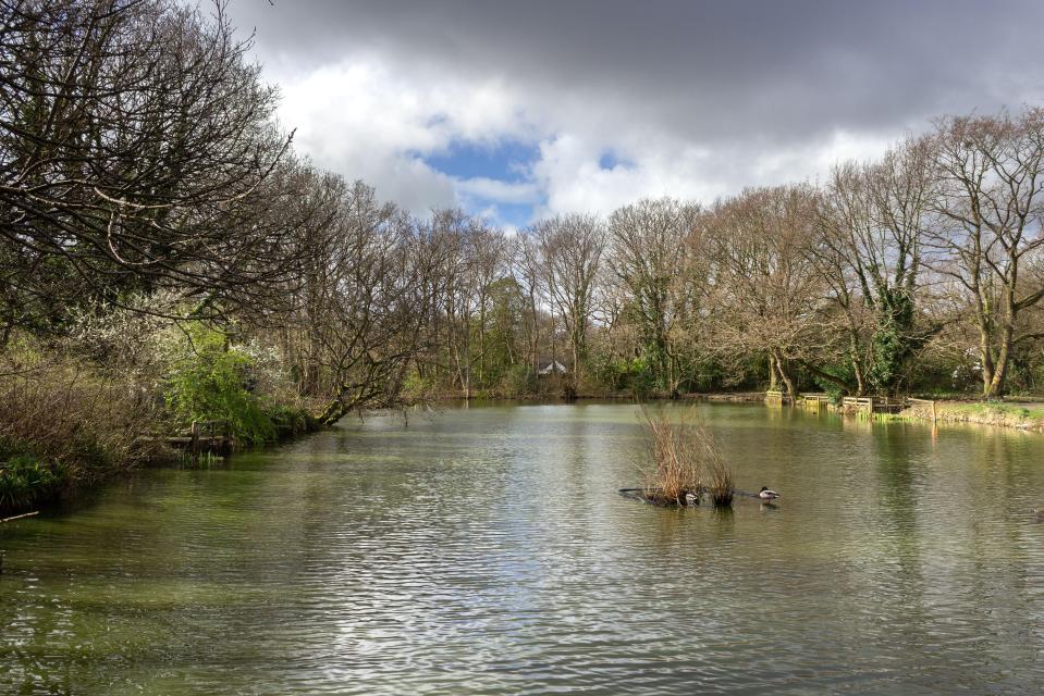 Lake in Dibbinsdale Nature Reserve.