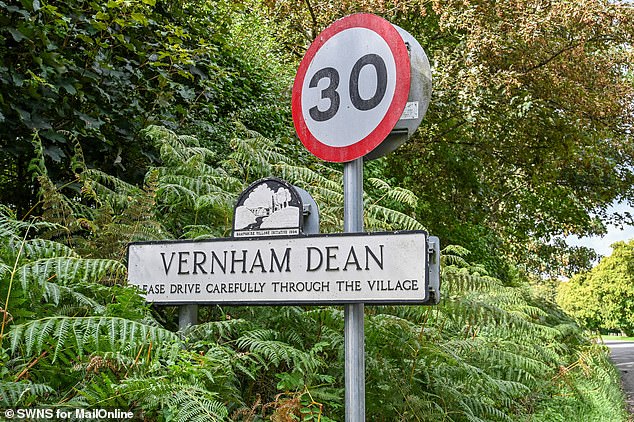 One local said they were upset about the view into the estate being lost and were concerned about the impact of the construction works on wildlife