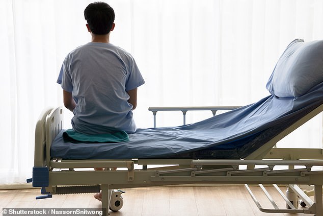 Patients have also described hearing cracking sounds from creaky roofs during overnight stays. (File image)