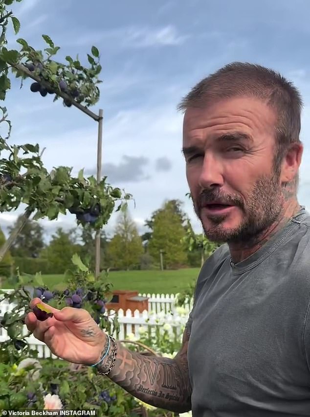 The exclusive Cheshire bolthole has long been a favourte spot of celebs including David Beckham