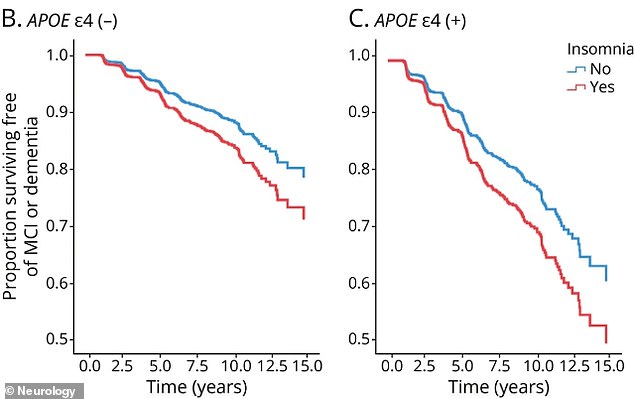 Chronic insomnia increased the risk of cognitive impairment by 40 per cent. While this risk applies to everyone, it was more pronounced in those without the APOE4 gene (Panel B). For carriers (Panel C), the overwhelming risk from their genetics is so high that the additional impact of insomnia is less noticeable