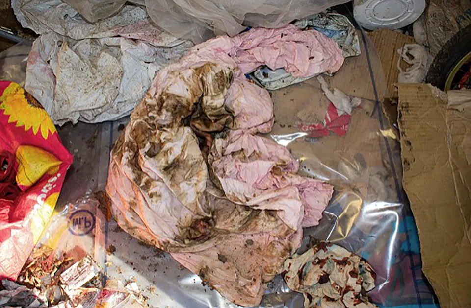 Photo of a soiled pink sheet found in a shed.