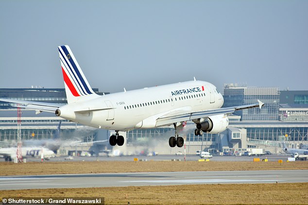 The migrant did not get on the scheduled AirFrance flight (Pictured: AirFrance plane in 2018)