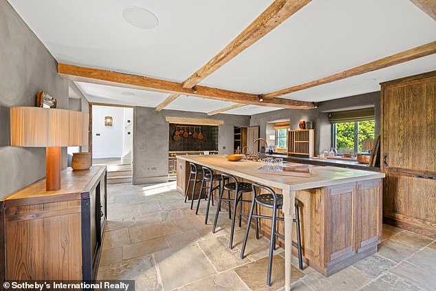 Design experts have suggested that Ellen's house is a 'beige void of vibes' due to its uneasy mix of contemporary Californian aesthetic and old English tradition