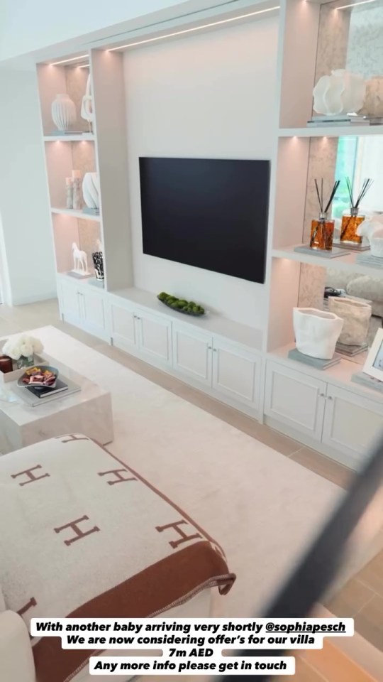 A large modern living room with a TV built into a wall unit, a coffee table with white roses, and an Hermes blanket on a couch.