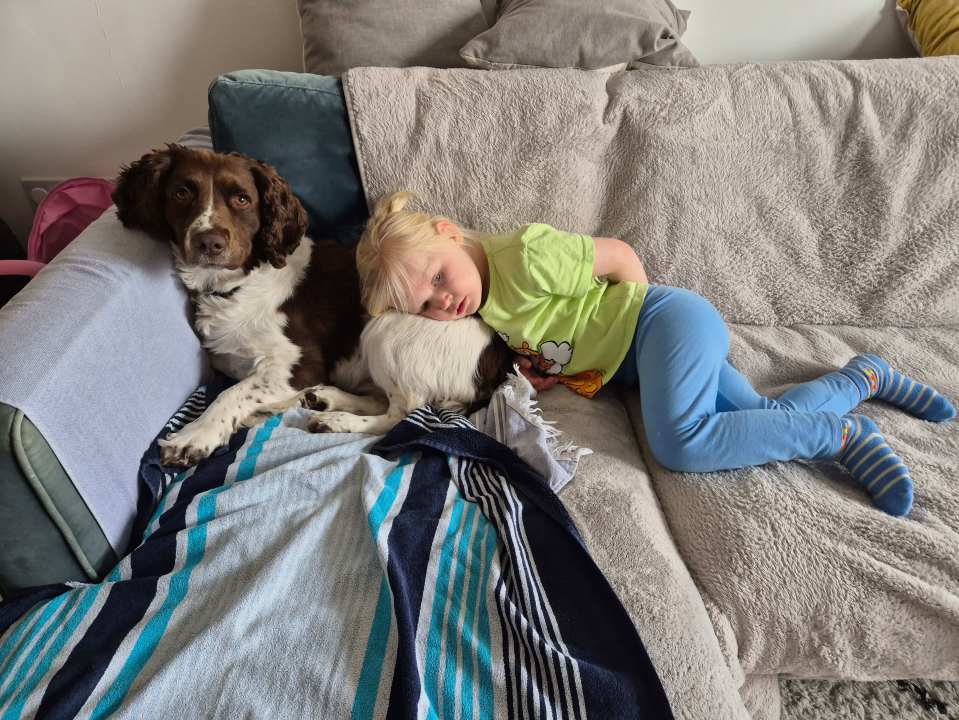 A young child with blonde hair lies on a couch with their head resting on a brown and white dog.