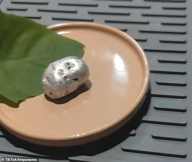 The meteorite, allegedly recovered in Panama, appeared to burn tree leaves (pictured) but was then bare-handedly picked up by a man named Kin