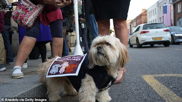 A dog is seen among the demonstrators against Trump's arrival in Windsor on Tuesday