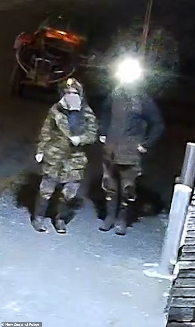 Police released CCTV of Phillips and one of his children stealing items from a general store in Piopio last month