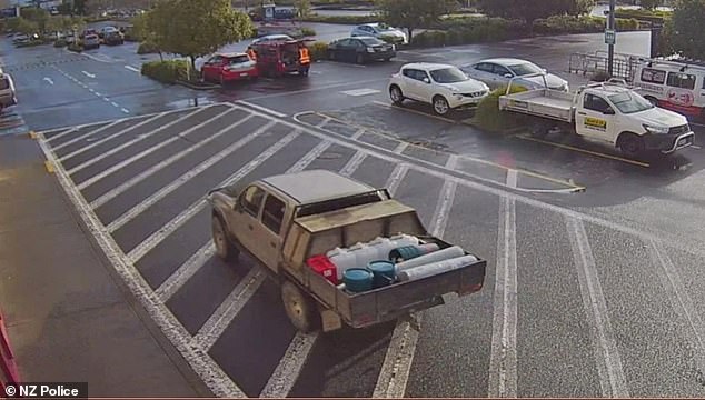 Despite a continuing police search and a £37,000 reward, there were just a handful of sightings (pictured, one sighting)