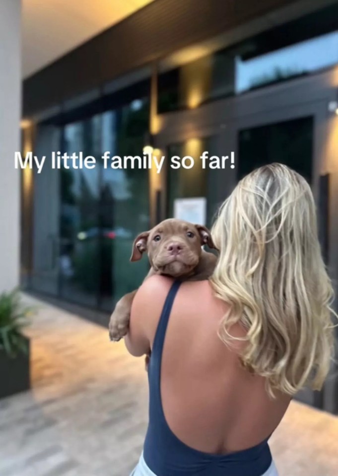 A blonde woman in a dark blue top holding a brown puppy on her shoulder.