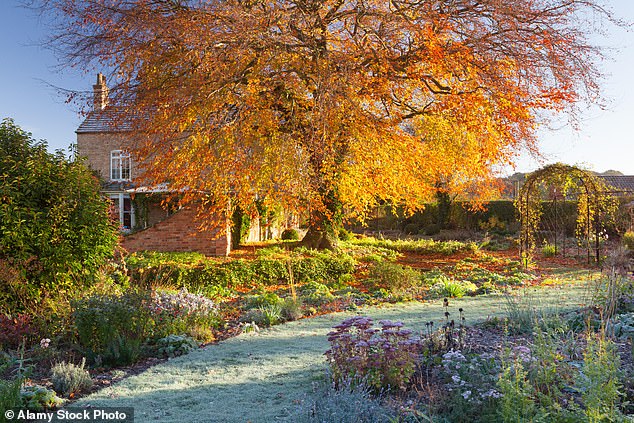 Take a hot cup of tea or coffee out into the garden and sit and enjoy the last rays of sunshine of the year