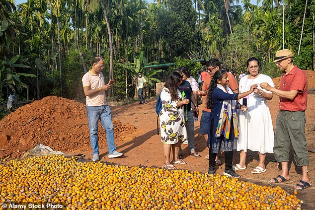 Cardamom, vanilla, cinnamon and nutmeg are all grown at the 120-hectare Sahakari Spice farm