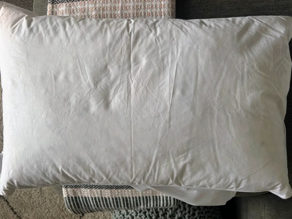 Tielle Savoy duck feather and down pillow.