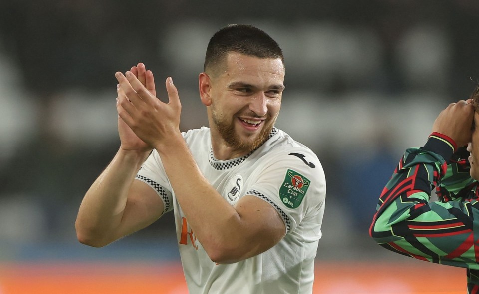 Zan Vipotnik of Swansea City celebrates with Goncalo Franco at full time.