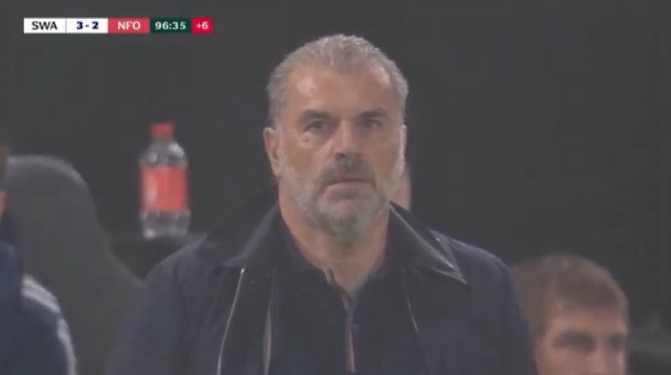 Soccer coach Ange Postecoglou on the sideline.