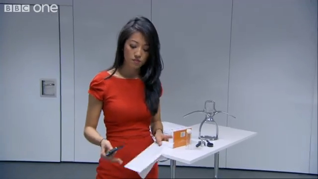 Susie Ma on The Apprentice.