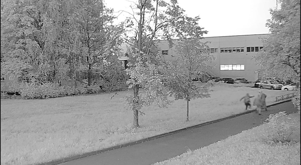 Two figures with blurred faces running on a sidewalk next to a grassy area, with trees and a building in the background.