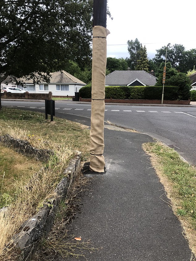 On a September morning last year, she was rudely awoken by the sound of drilling outside her home, but what waited outside was worse - a towering mast