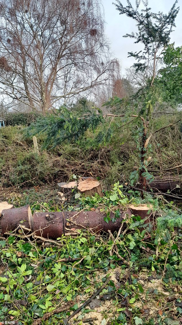 The victim said he is 'still concerned' by the state of his garden today after the gang left debris behind