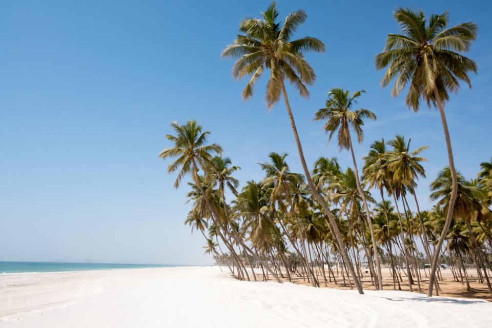 Salalah beach in Dhofar, Sultanate of Oman, with palm trees lining the white sand and clear blue sky.