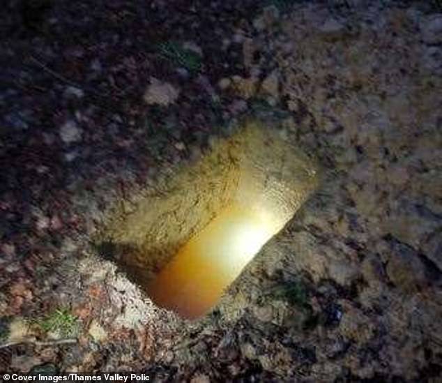 Power had dug a grave in the woodland behind his house, where he planned to dispose of the bodies