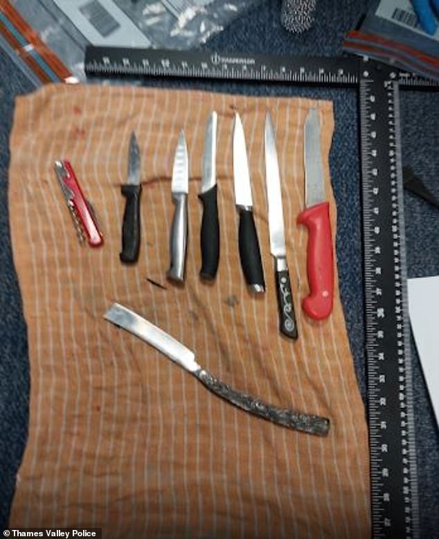 Detectives found a disturbing number of weapons at Power's house when they searched it